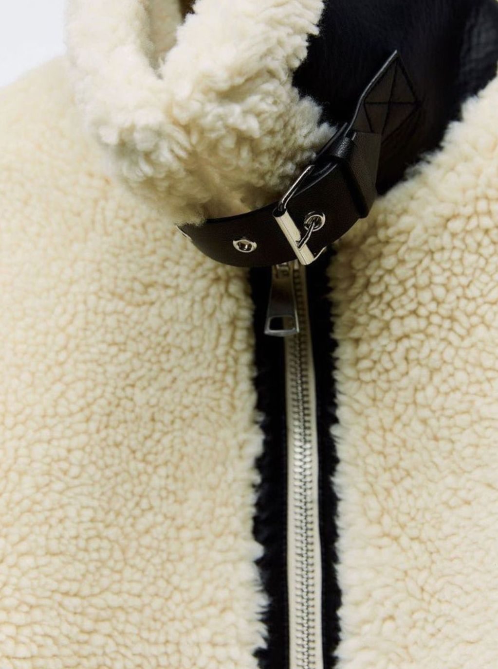 Women's Contrast-Trim Teddy Fleece Zip-Up Biker Jacket